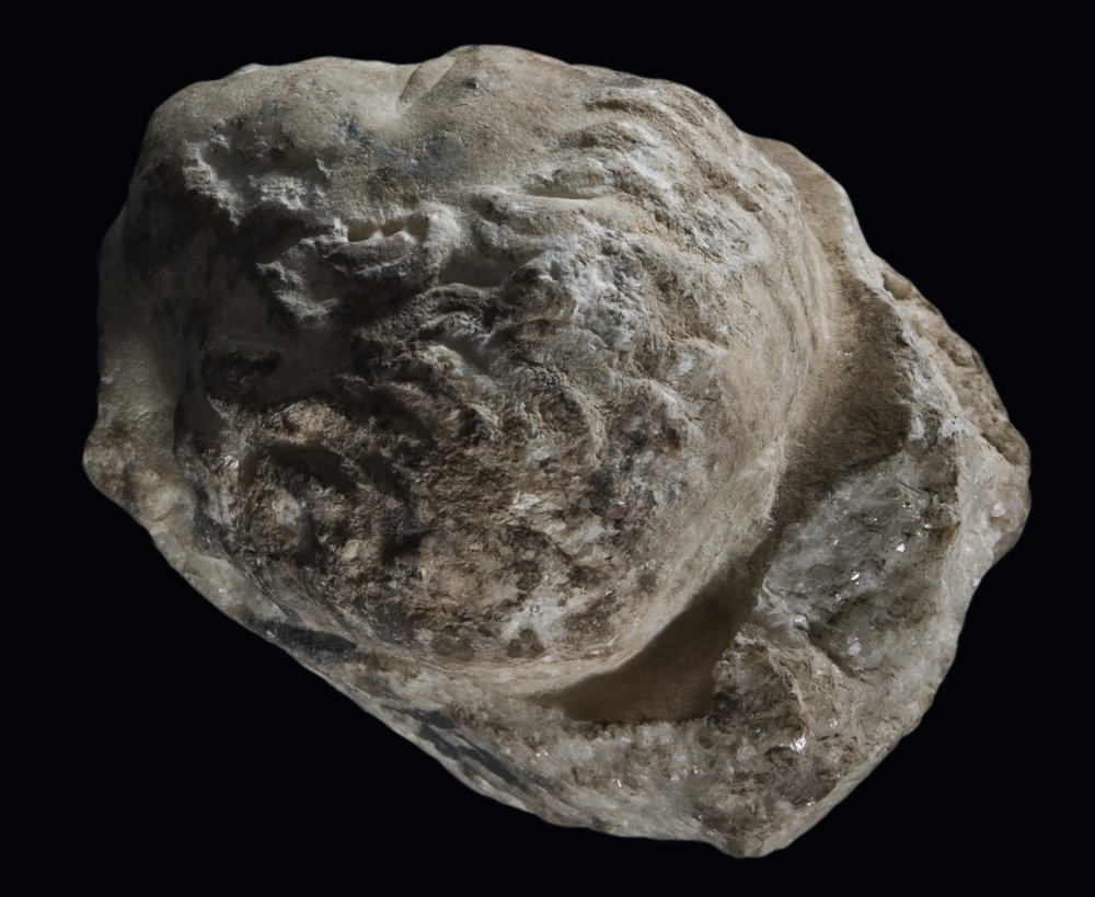 Inv 2170_03.jpg