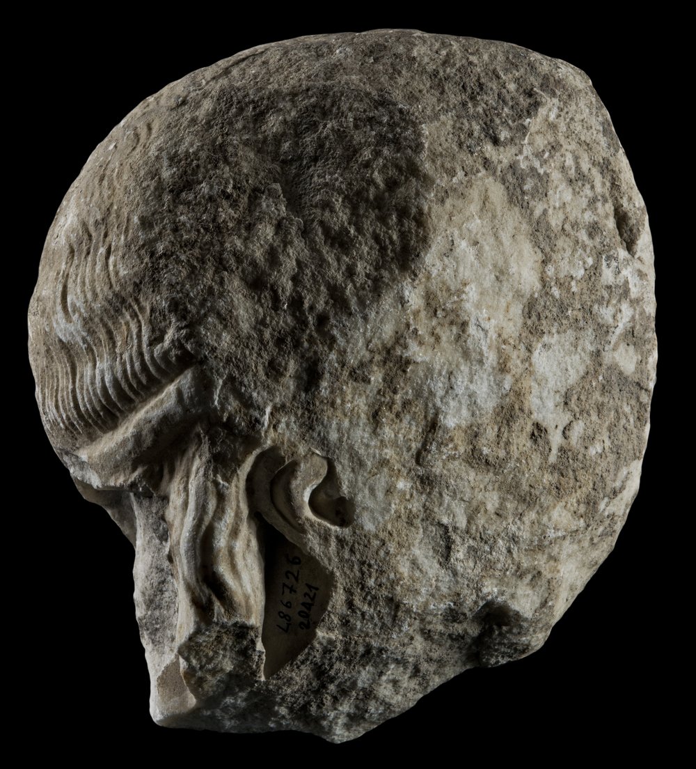 Inv 486726_02.jpg