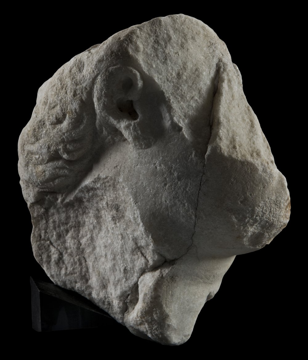 Inv 486488_01.jpg