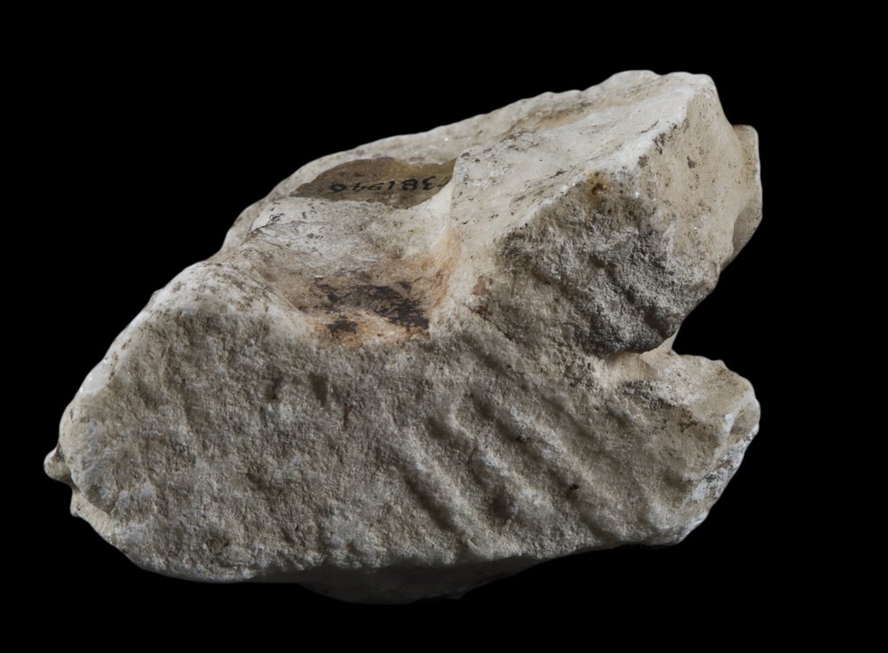 Inv 381946_02.jpg
