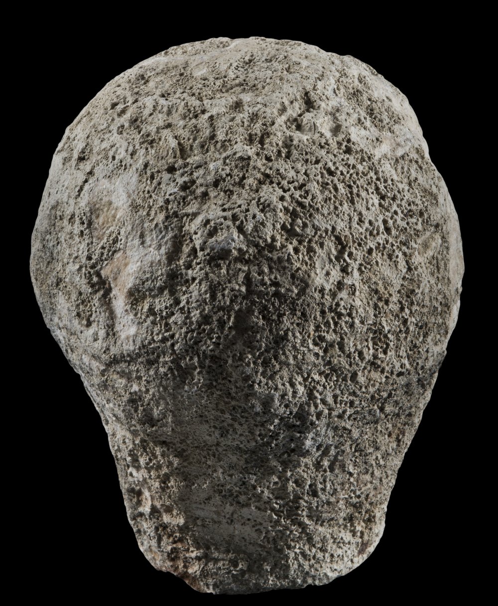 Inv 486718_03.jpg