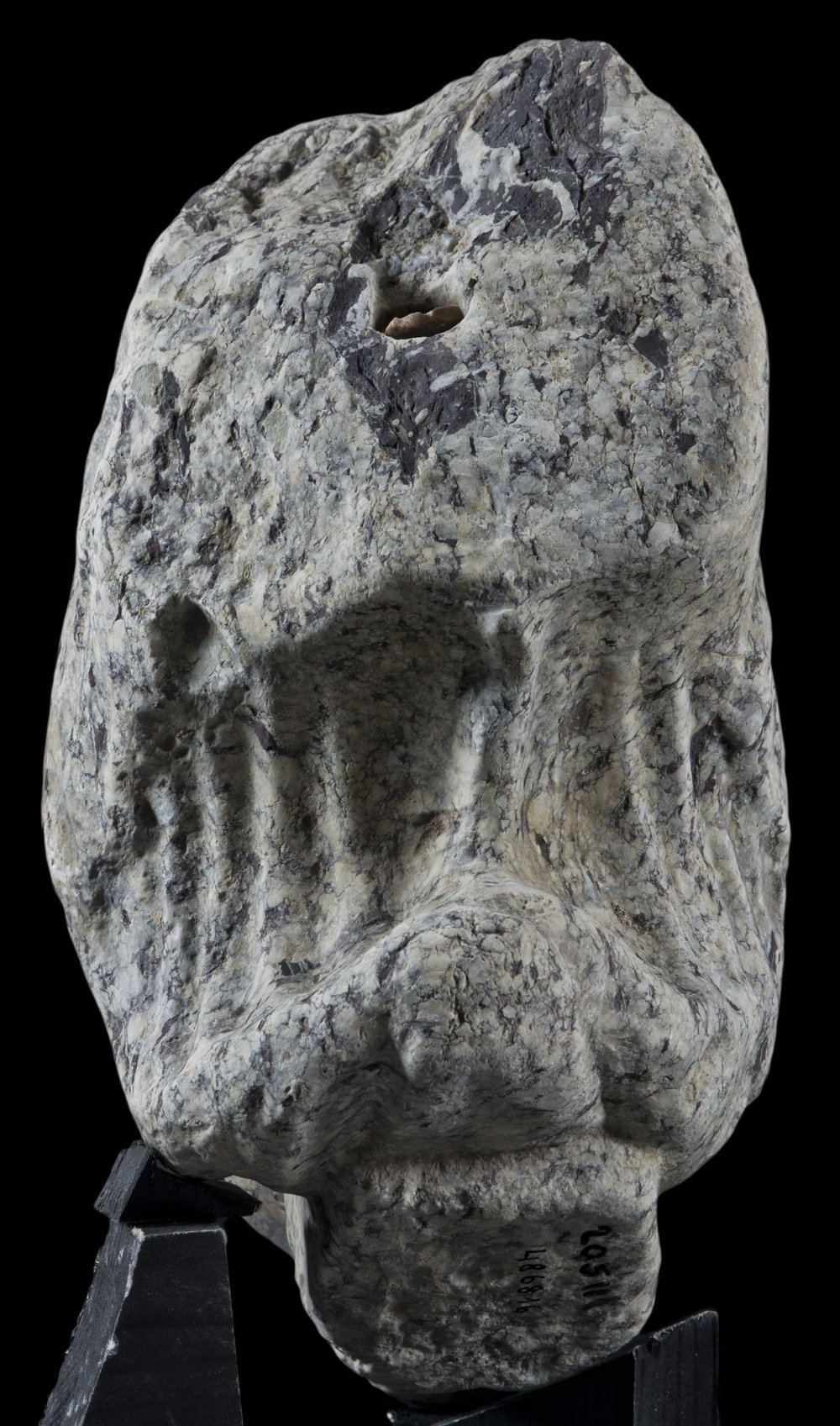 Inv 486816_04.jpg