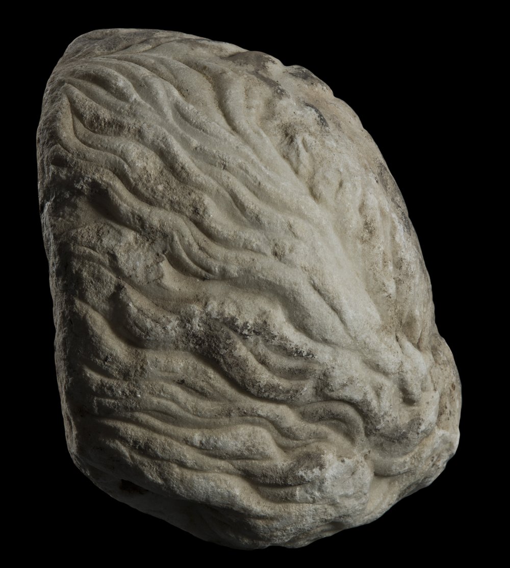 Inv 486540_01.jpg
