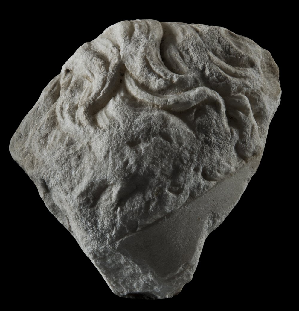 Inv 486480_00.jpg