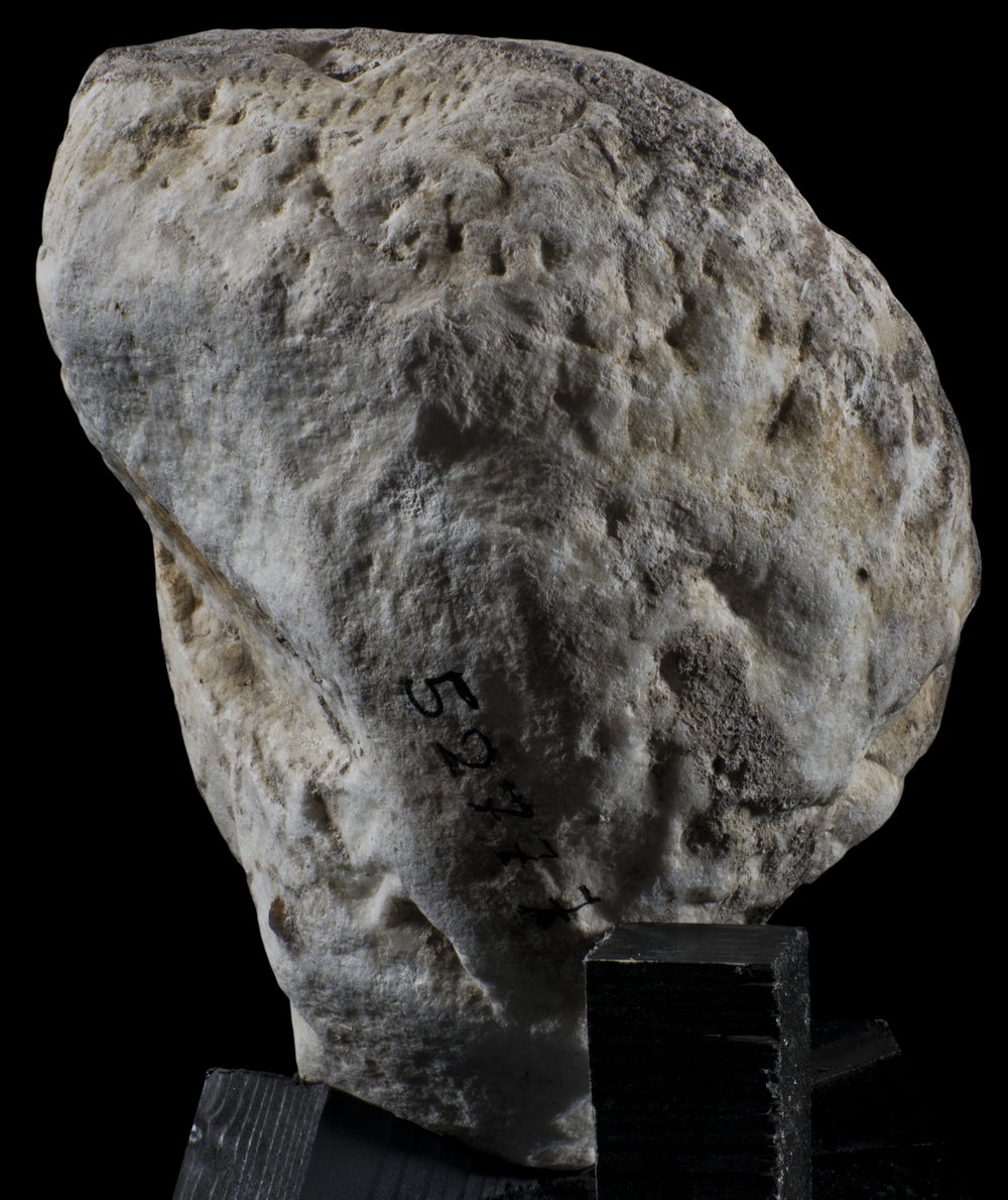 Inv 52777_04.jpg