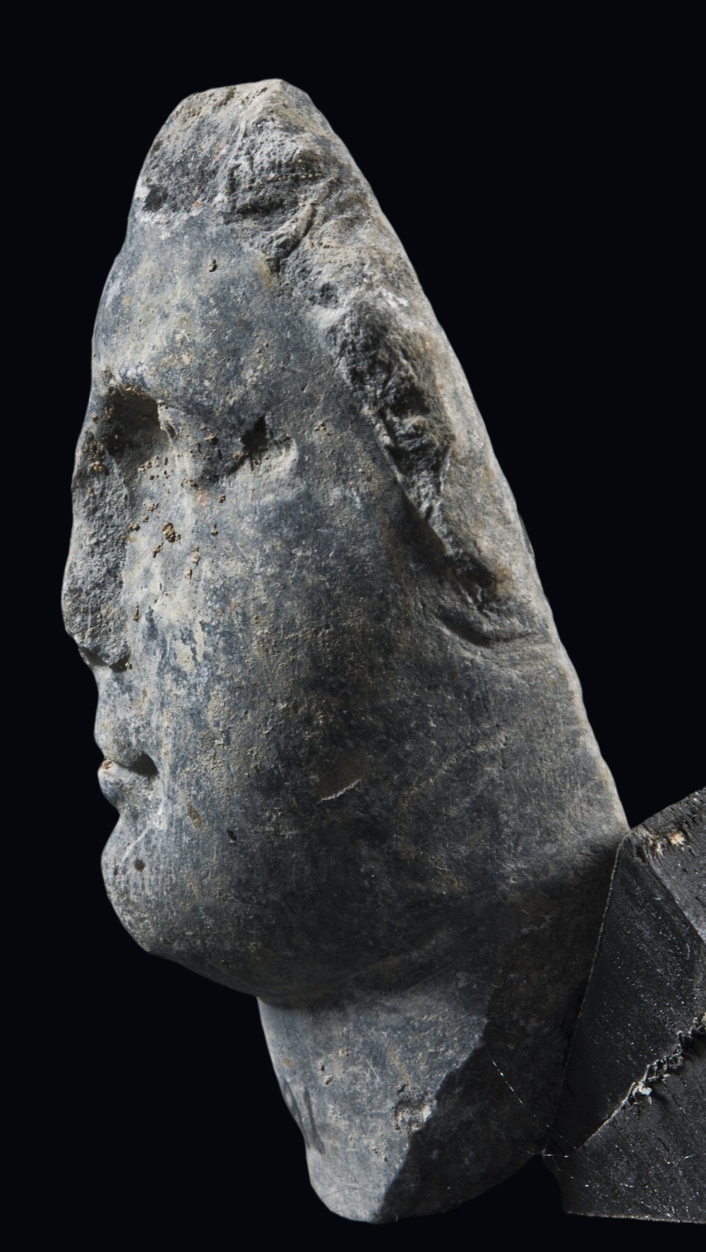 Inv 52791_05.jpg