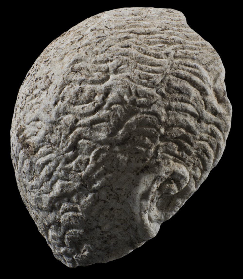 Inv 52680_03.jpg