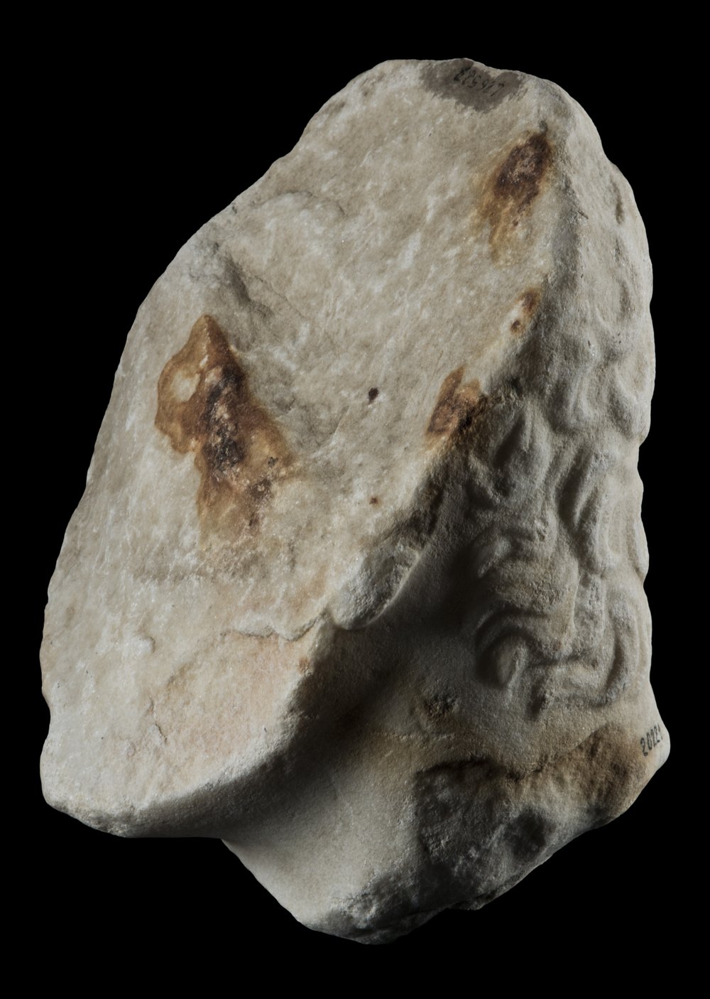 Inv 486527_01.jpg