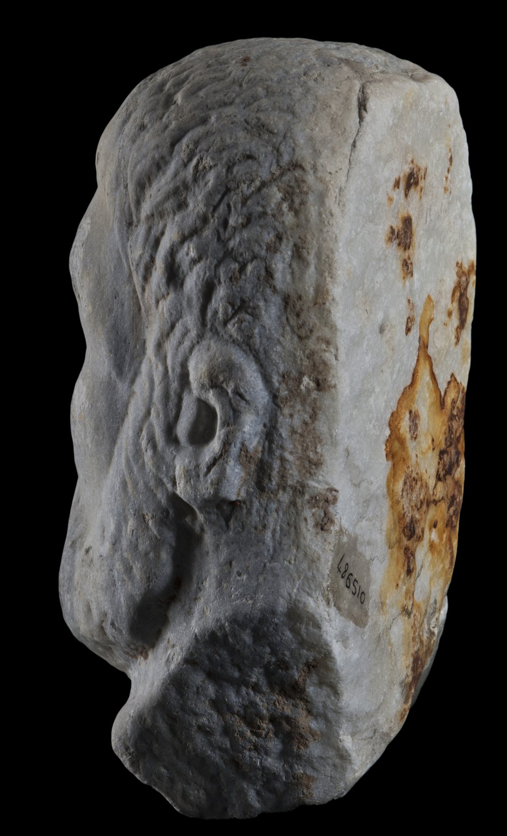 Inv 486510_04.jpg