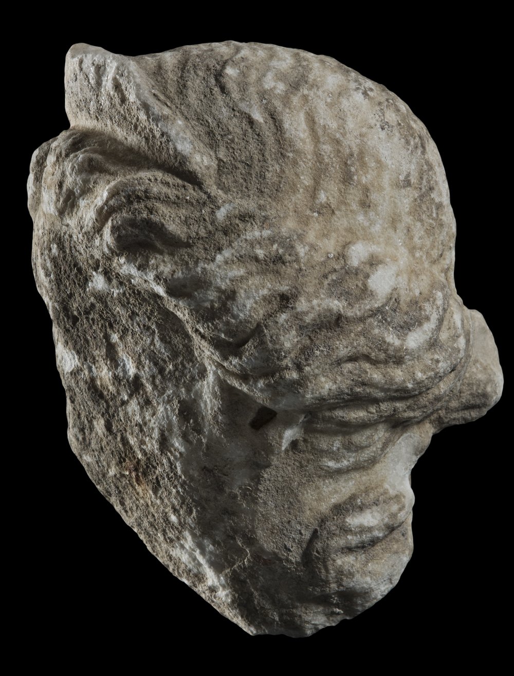 Inv 486549_03.jpg