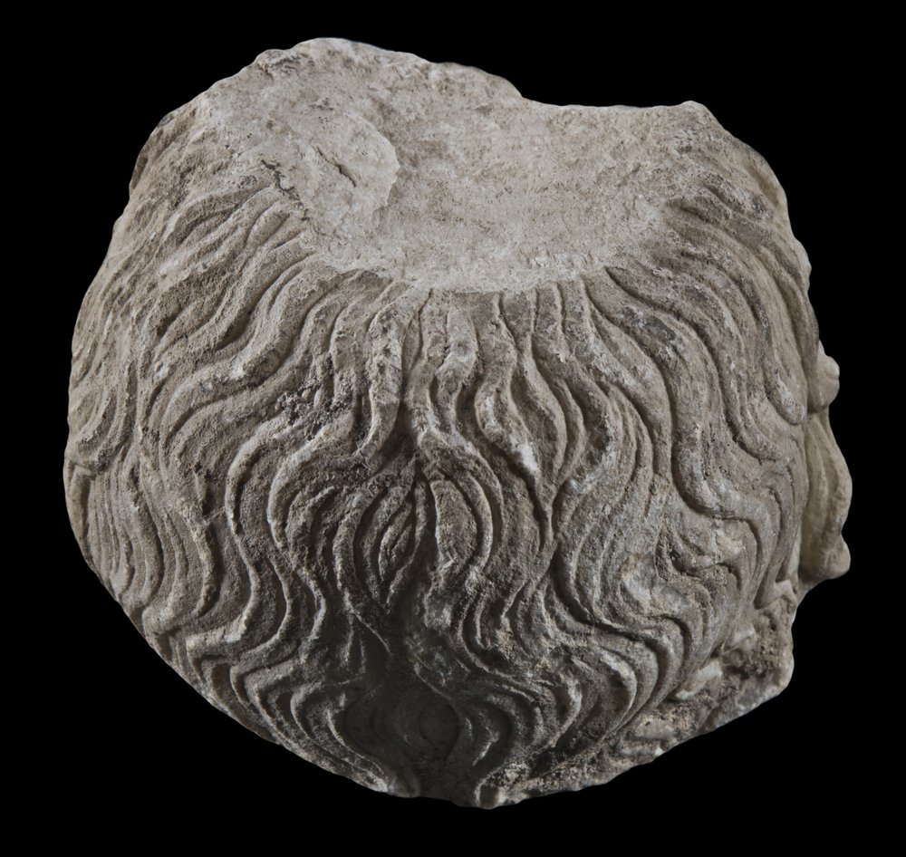 Inv 373260_03.jpg