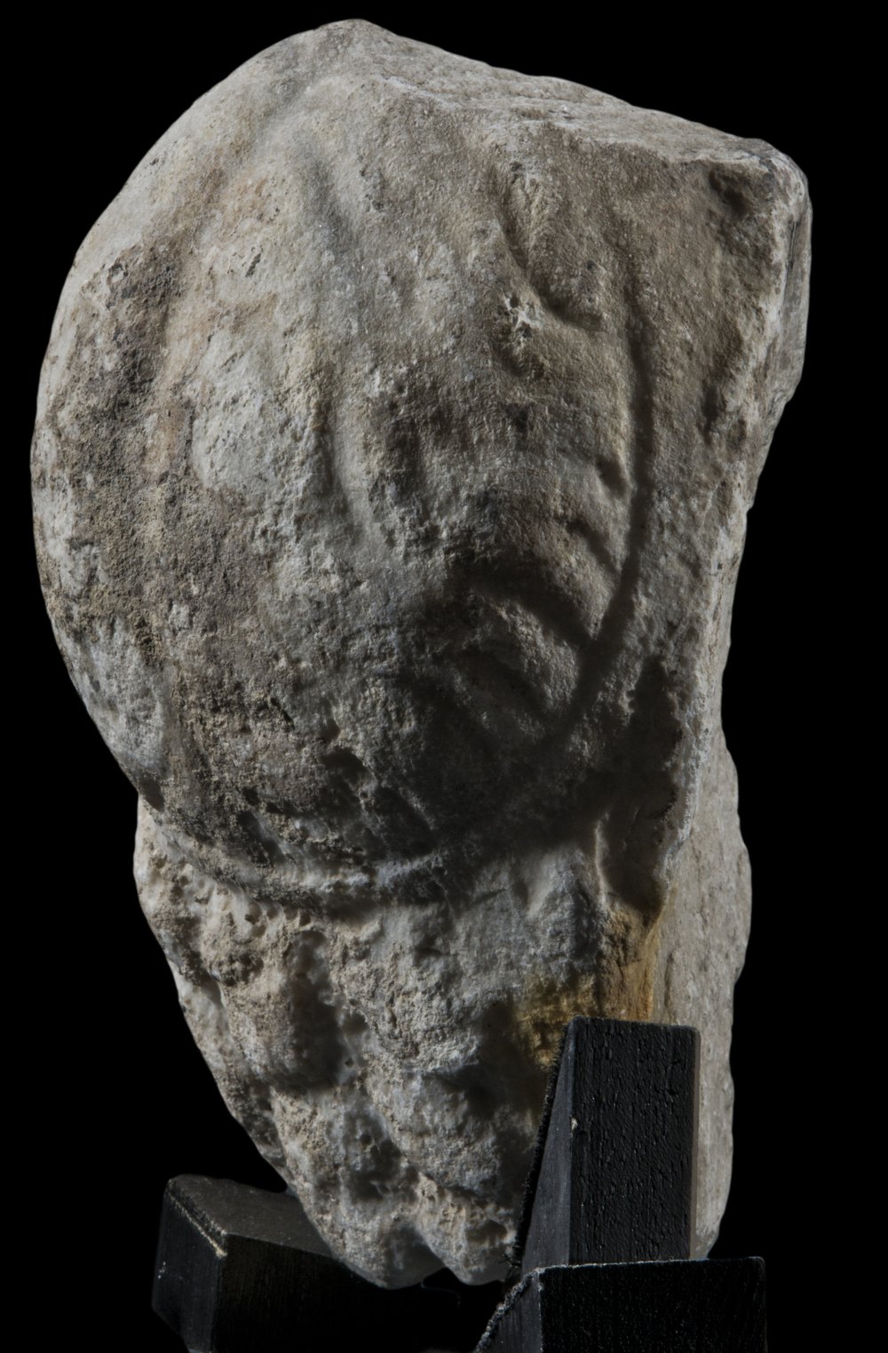 Inv 407882_04.jpg