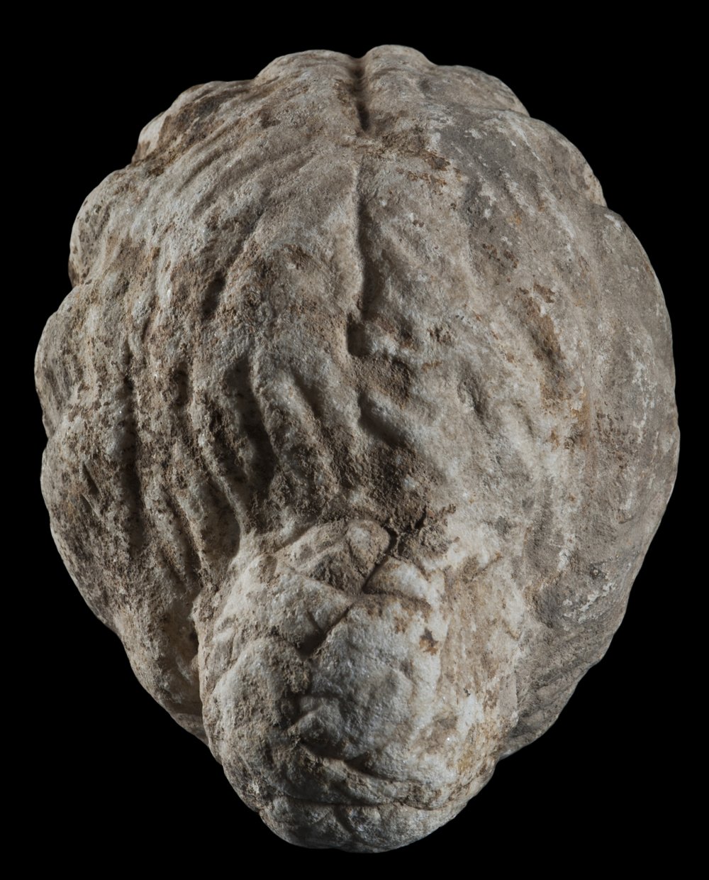 Inv 486507_04.jpg