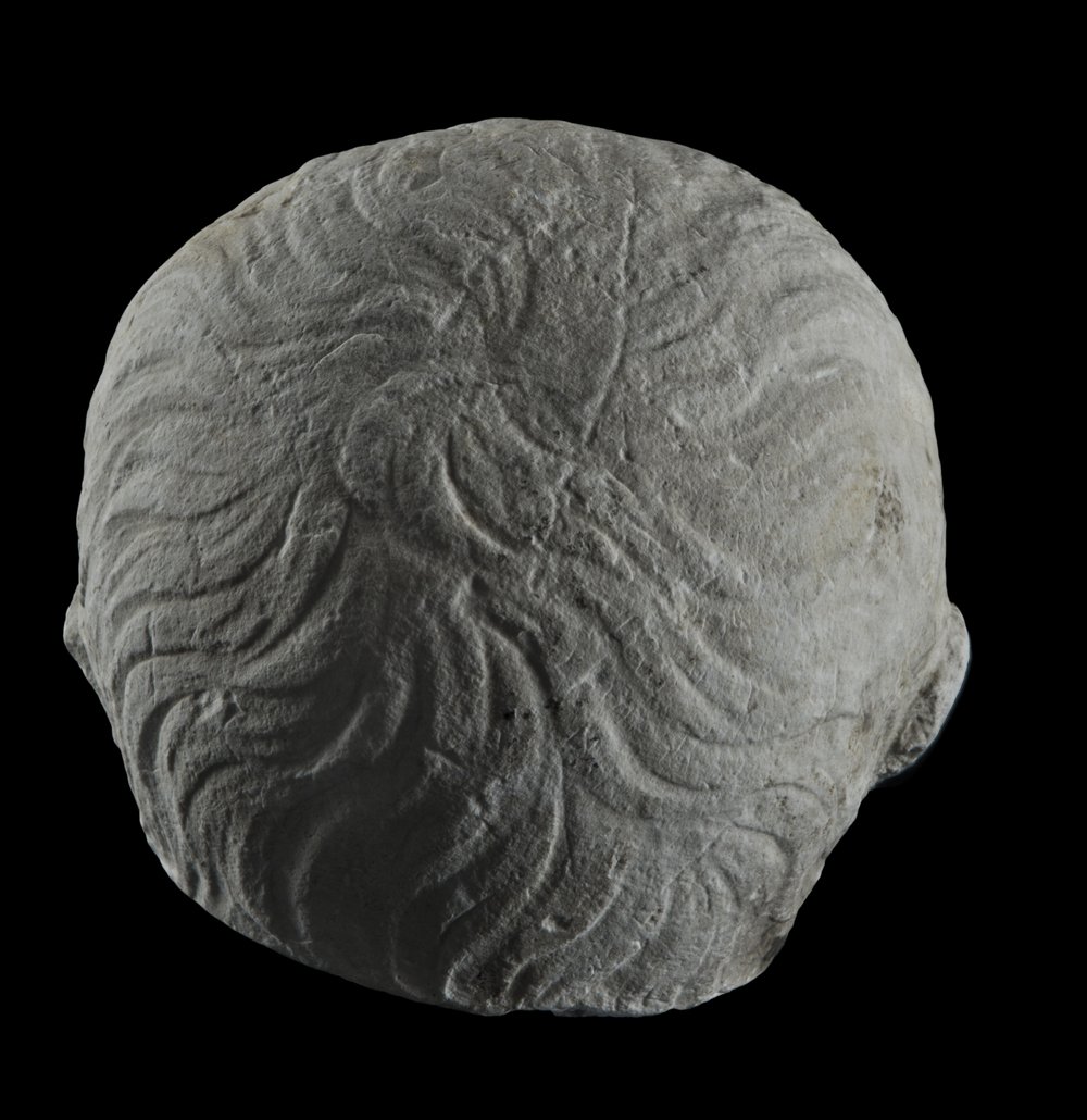 Inv 486524_00.jpg