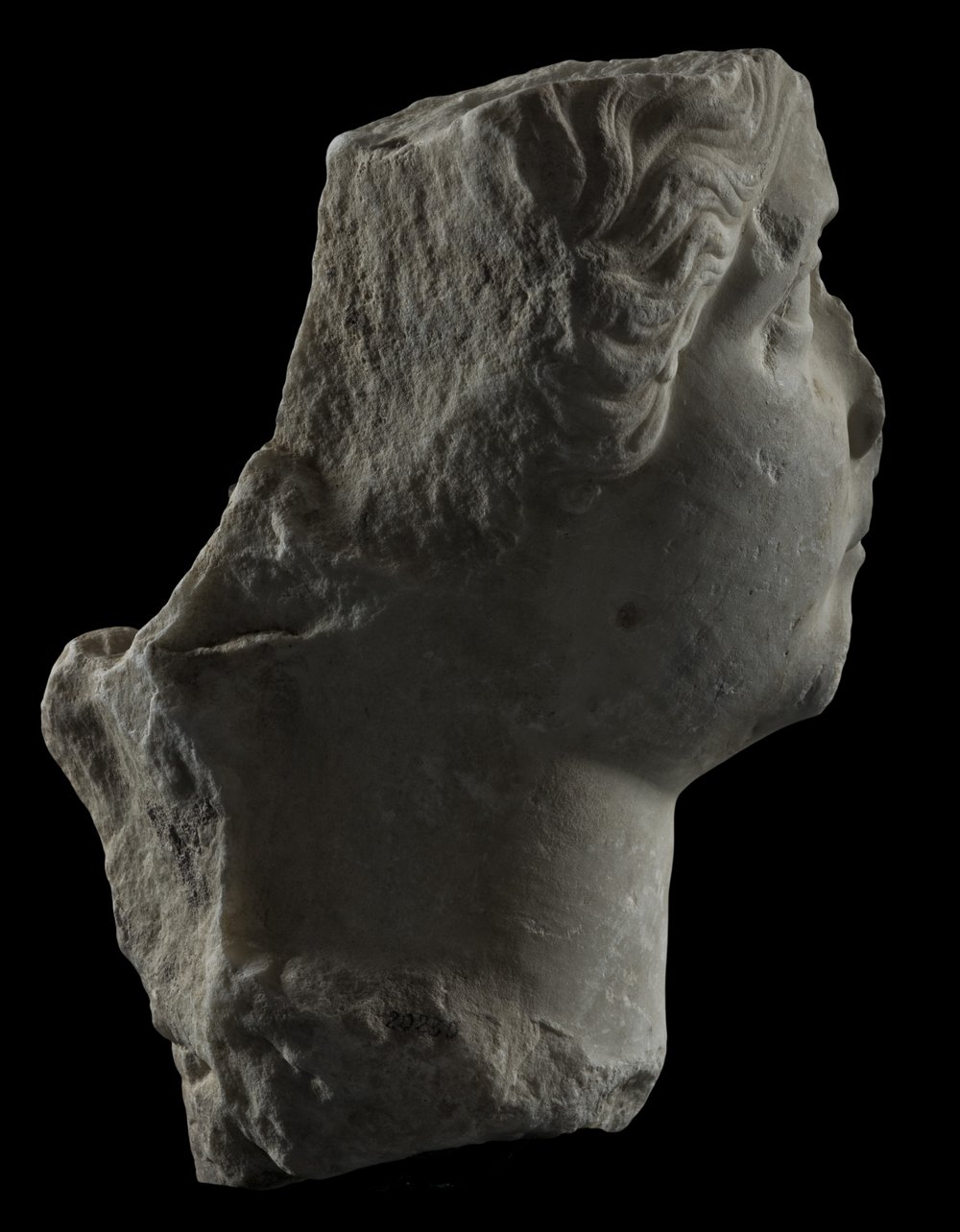 Inv 486536_05.jpg
