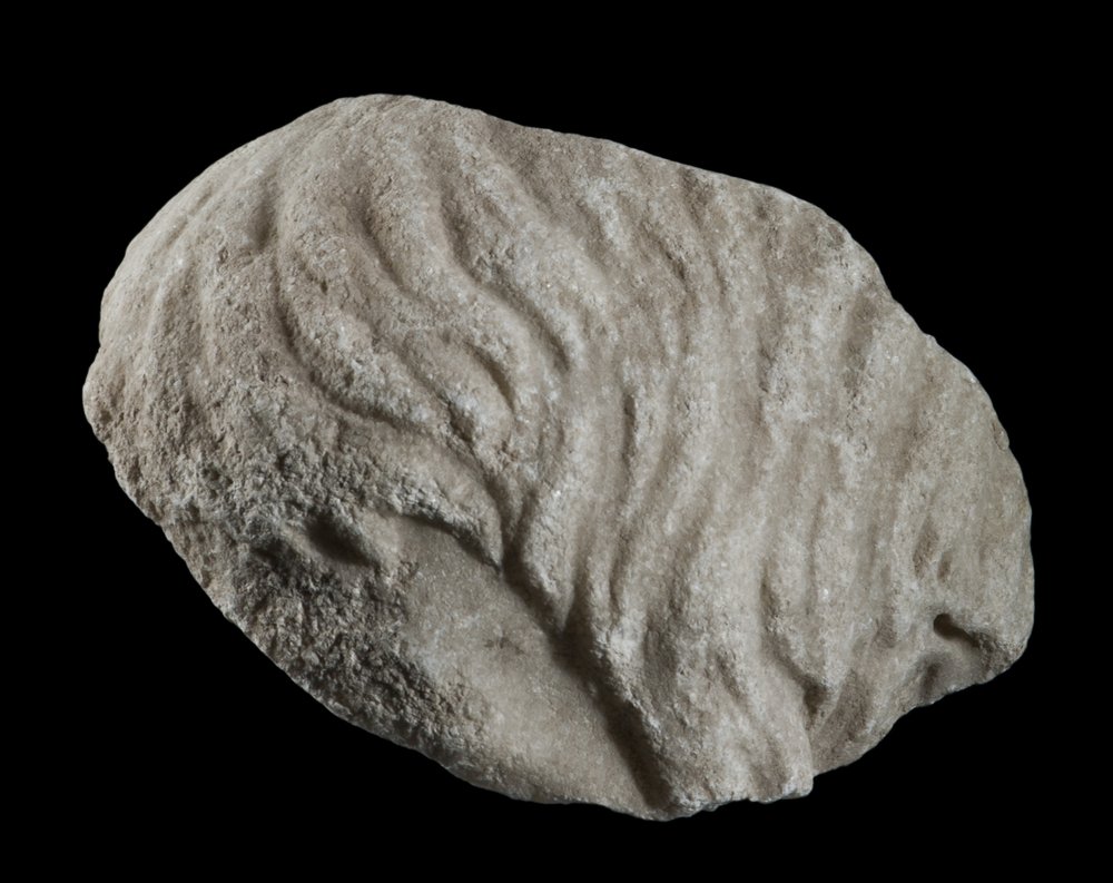 Inv 486504_00.jpg