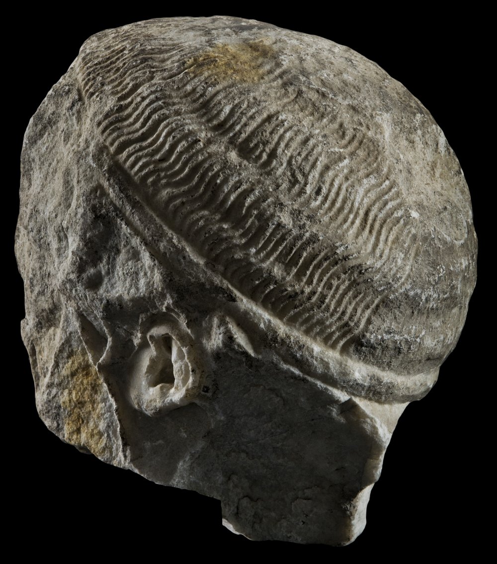 Inv 486976_06.jpg