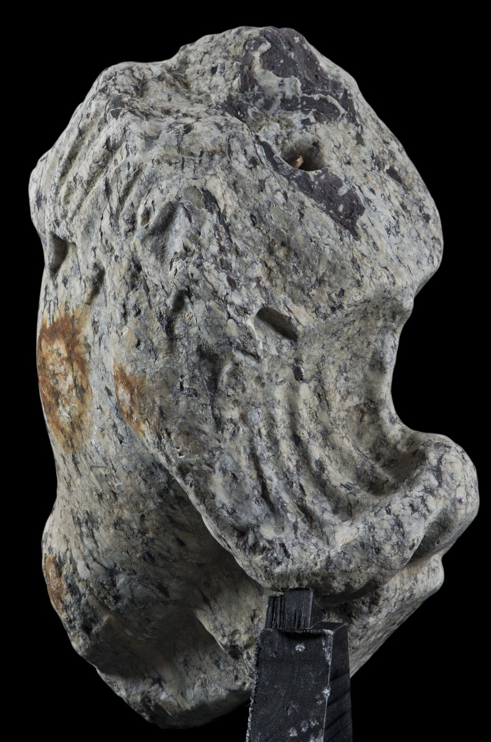 Inv 486816_05.jpg