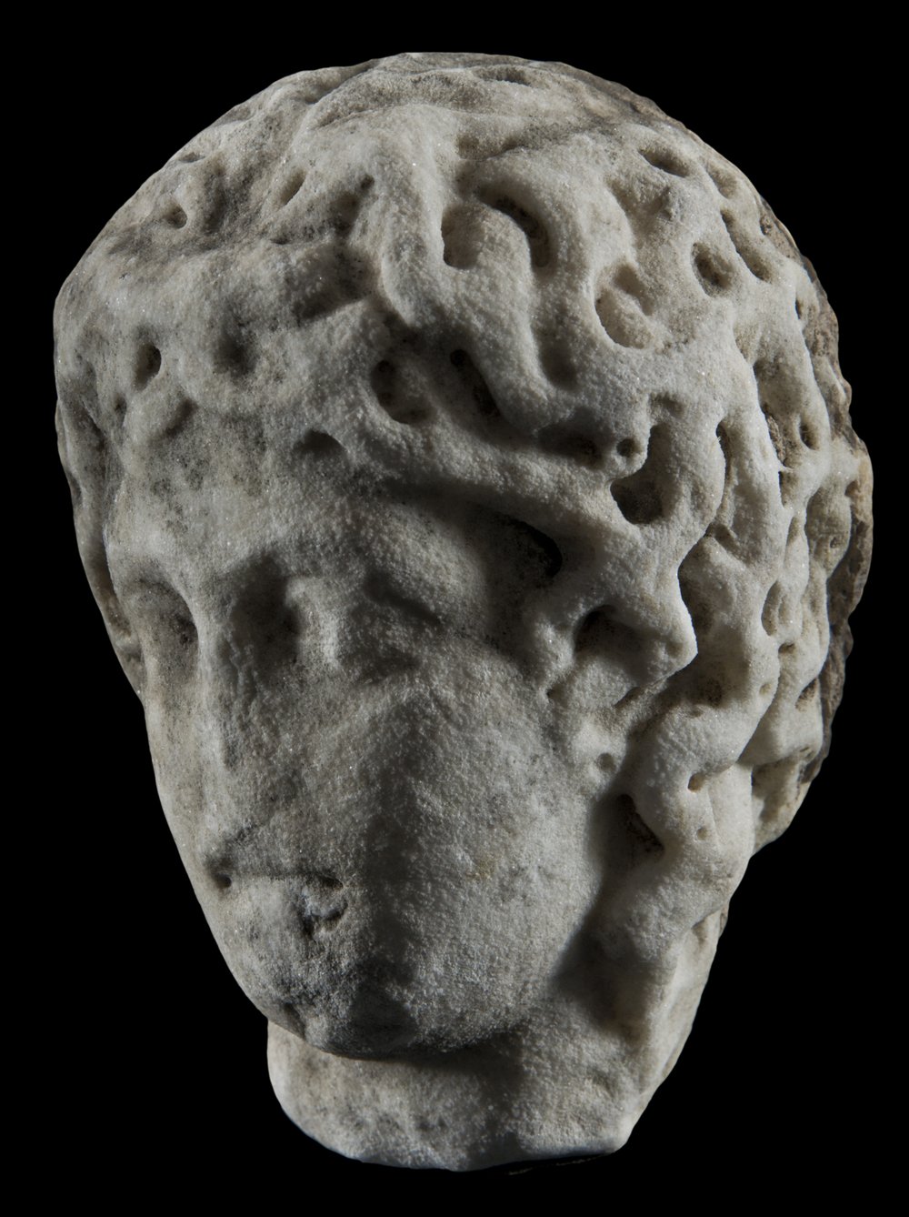Inv 373621_06.jpg