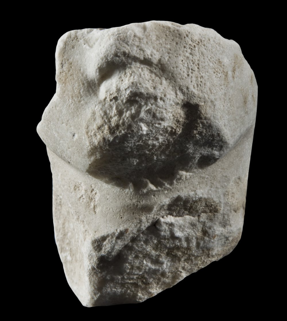Inv 486478_00.jpg