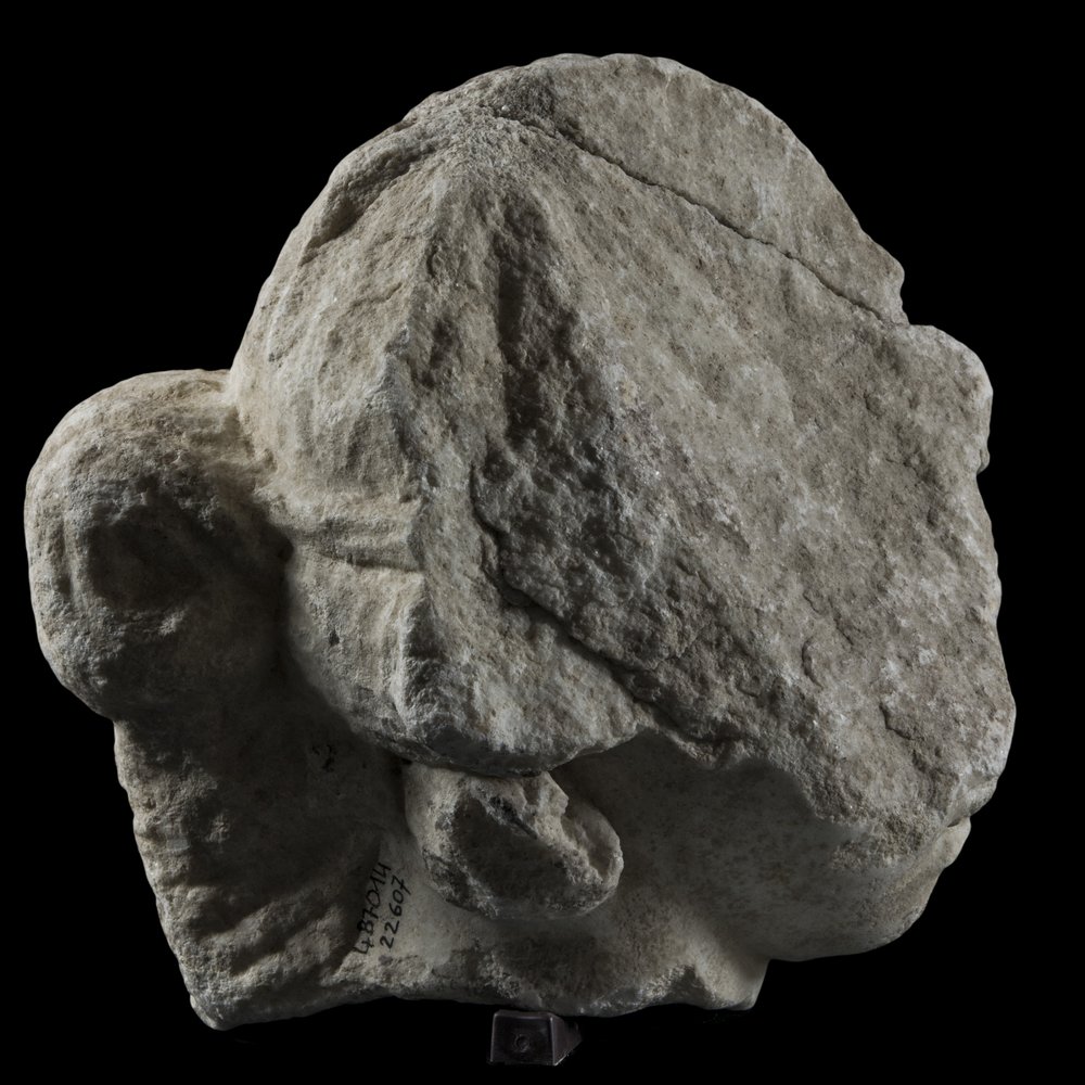 Inv 487014_02.jpg