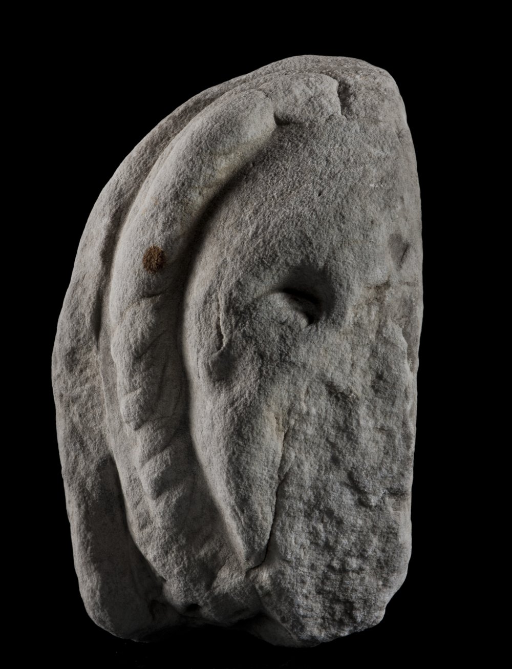Inv 486515_00.jpg