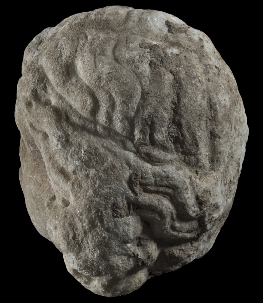 Inv 373339_05.jpg
