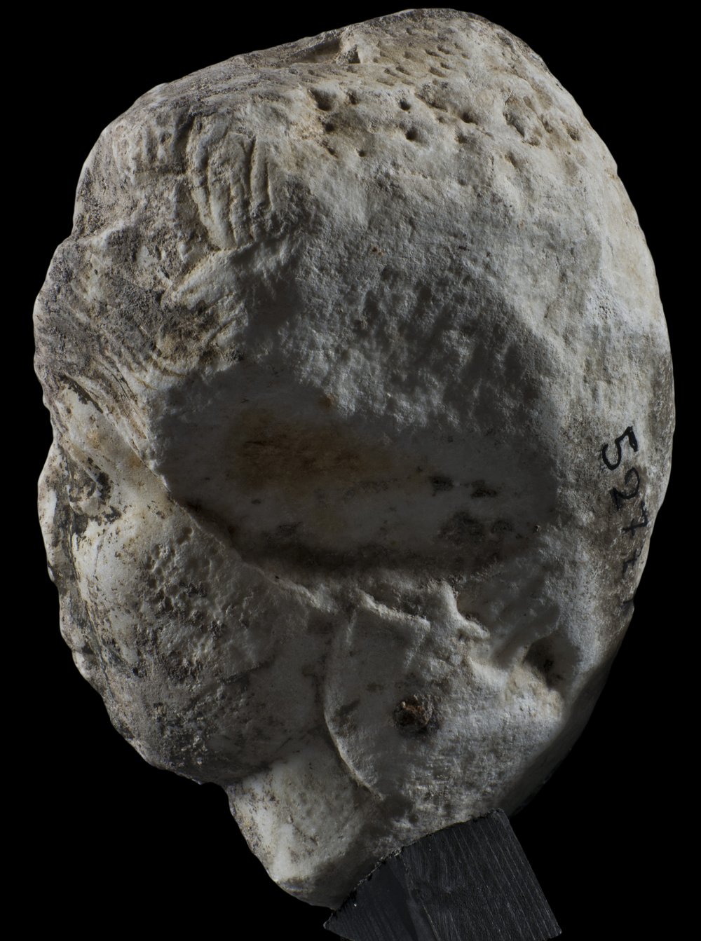 Inv 52777_05.jpg