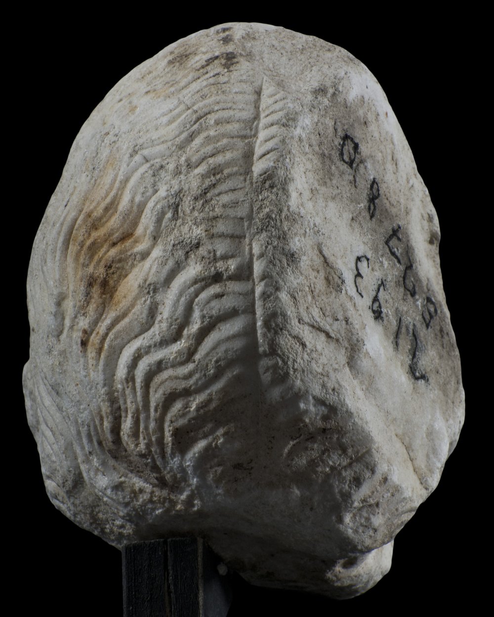 Inv 52780_03.jpg