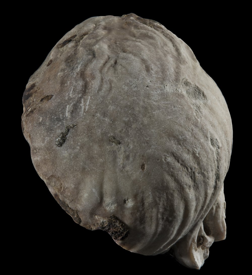 Inv 486535_02.jpg