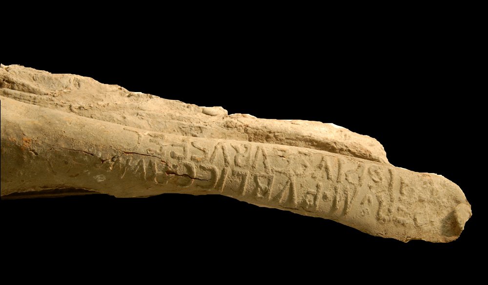 Inv.528638A-Neg.000120.JPG
