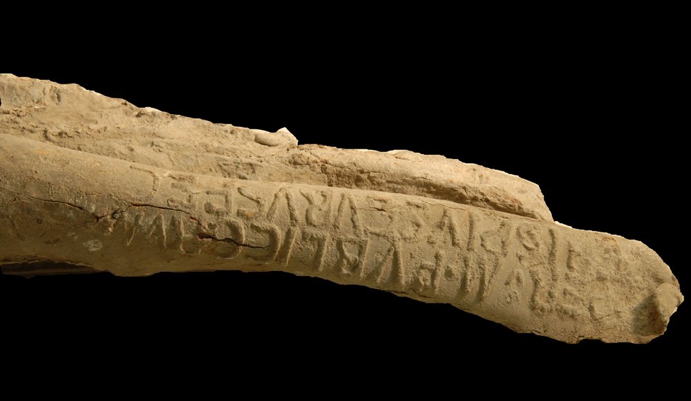 Inv.528638B-Neg.000120.JPG