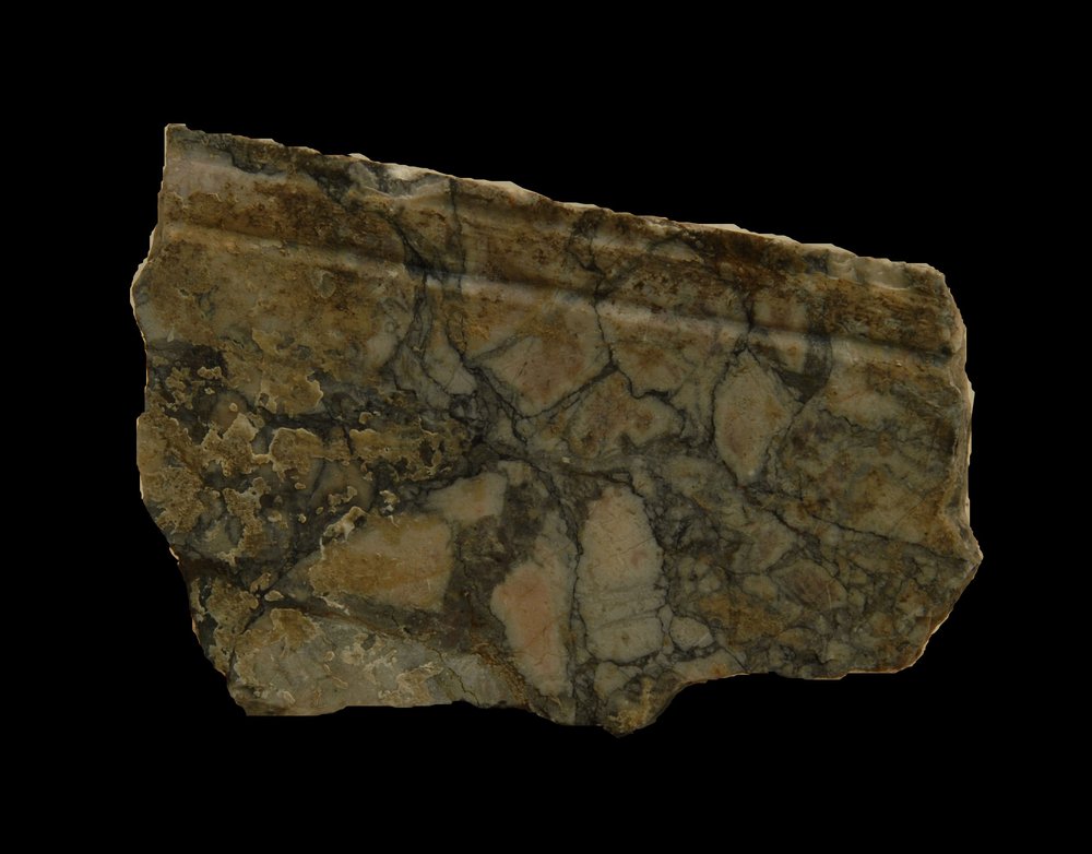 Inv.528721-Neg.000135.JPG