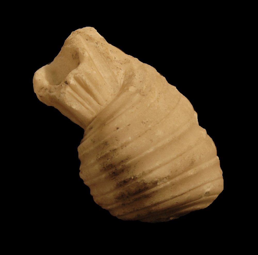 Inv.528637-Neg.000022.JPG