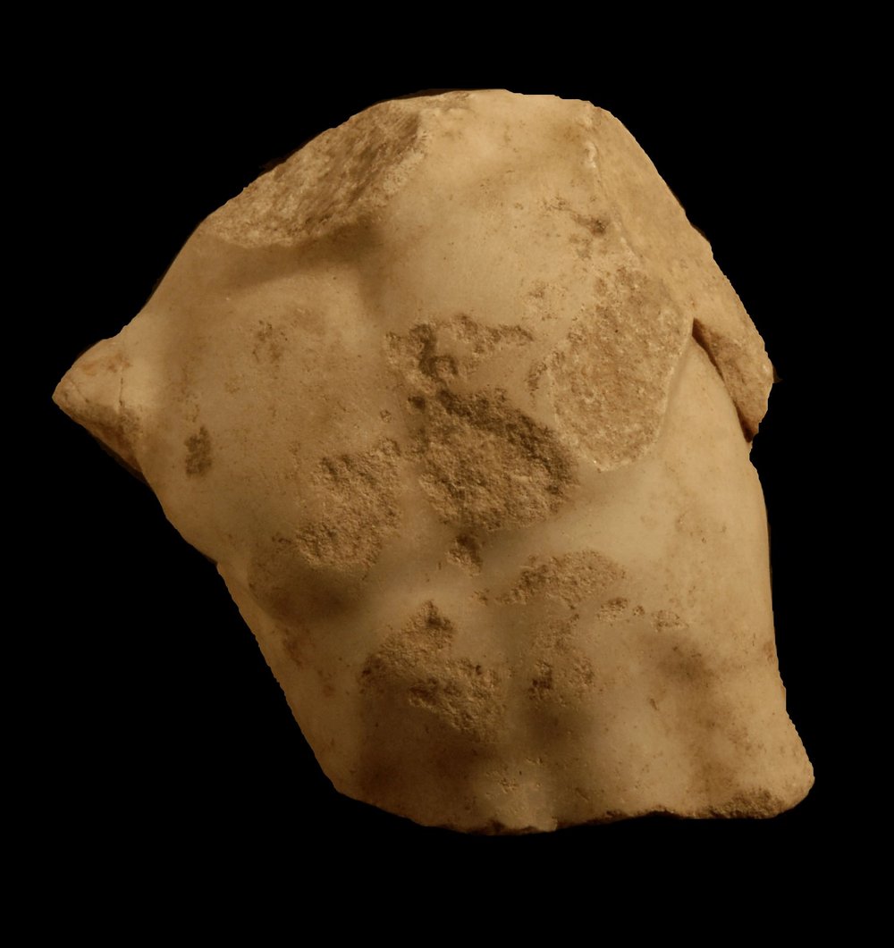 Inv.528639-Neg.000023.JPG
