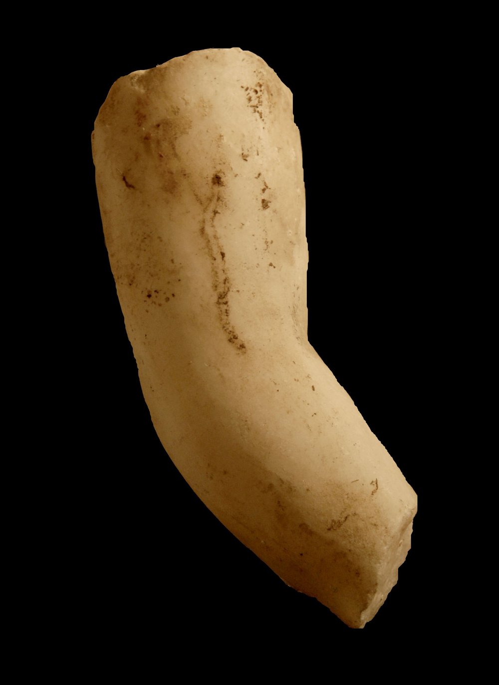 Inv.528654-Neg.000037.JPG