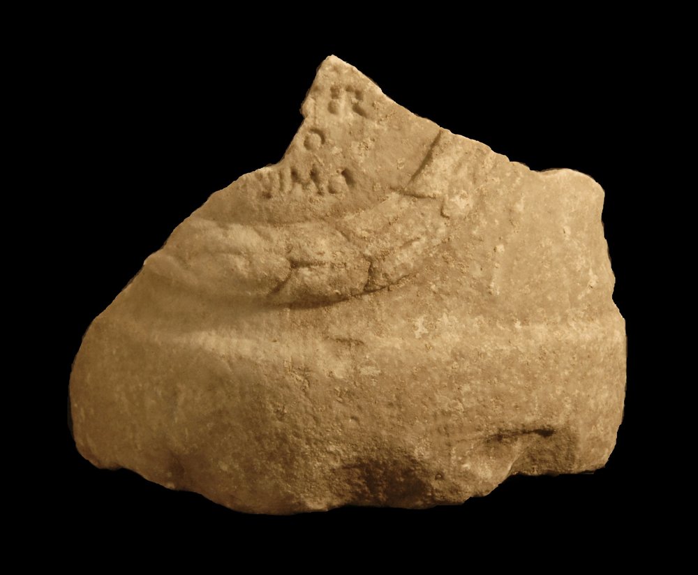 Inv.528605-Neg.000002.JPG