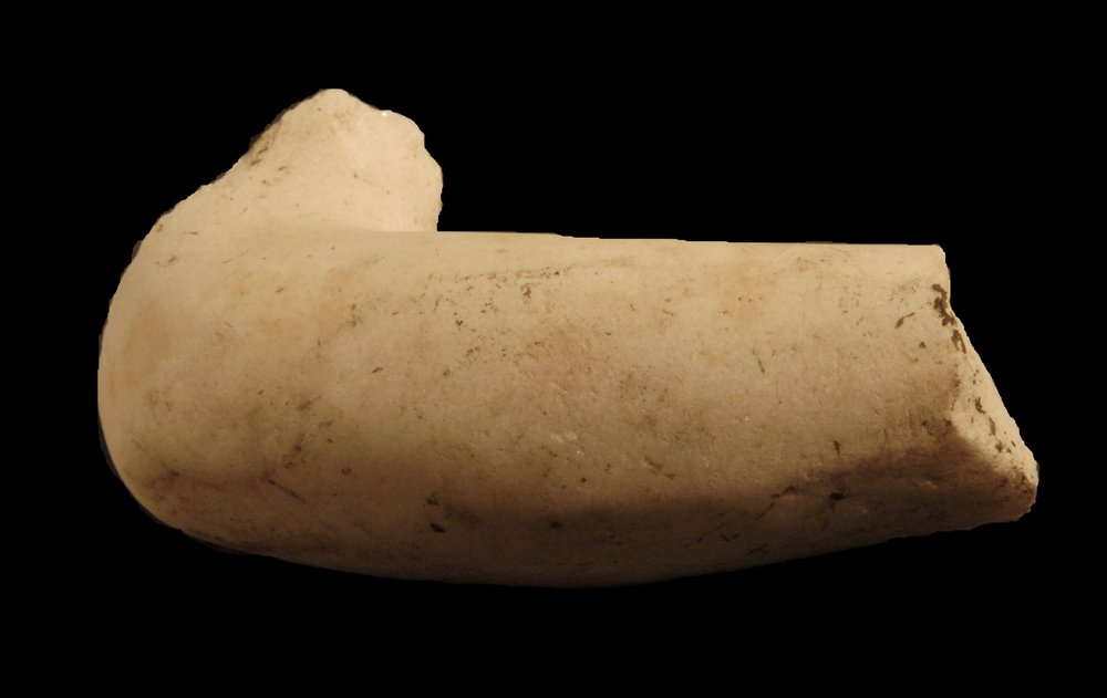Inv.528653-Neg.000036.JPG