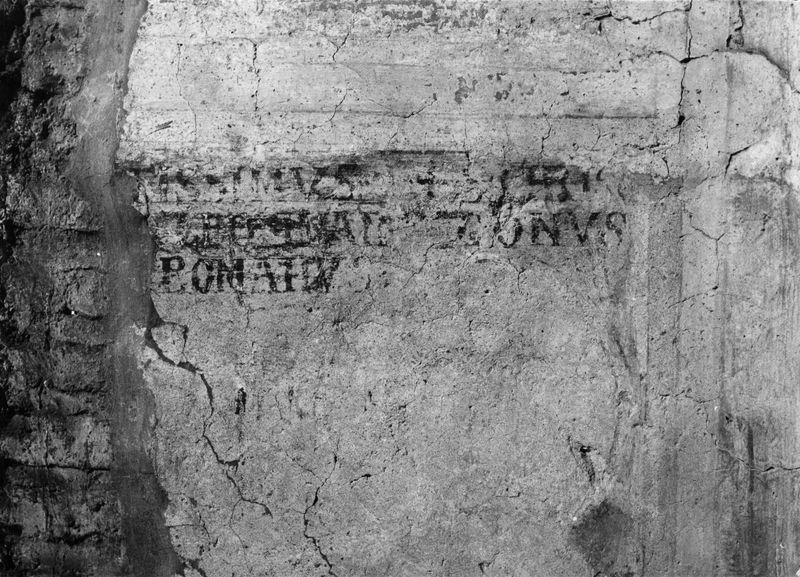 012958 - reperto - Curia, Chiesa di S. Adriano, Inscrizione medievale; Neg. Serie 6 x 6, Nr. 665