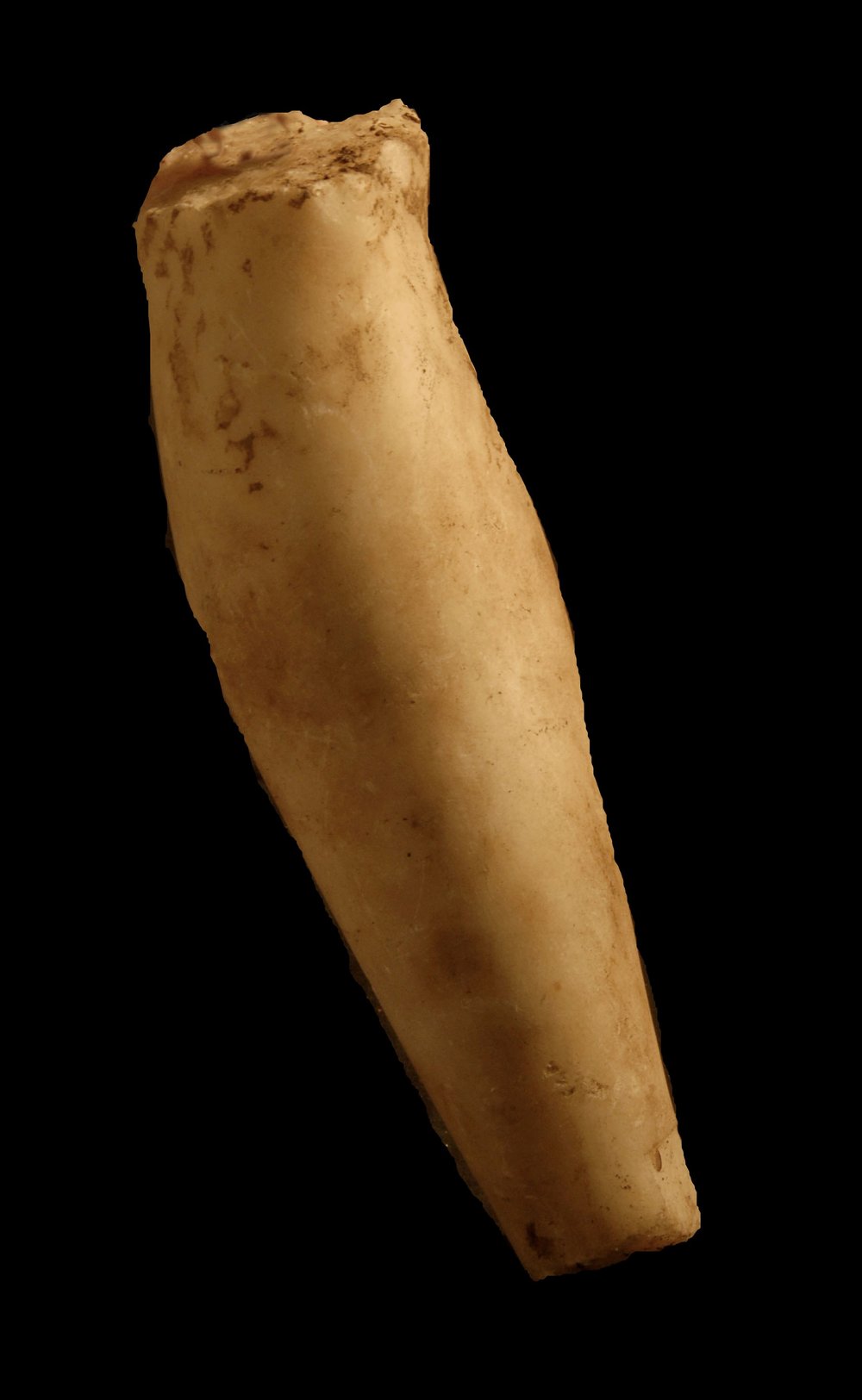 Inv.528648-Neg.000031.JPG