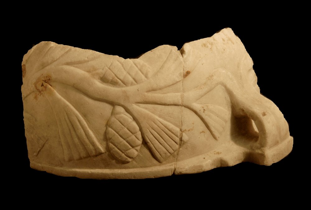 Inv.528631-Neg.000017.JPG