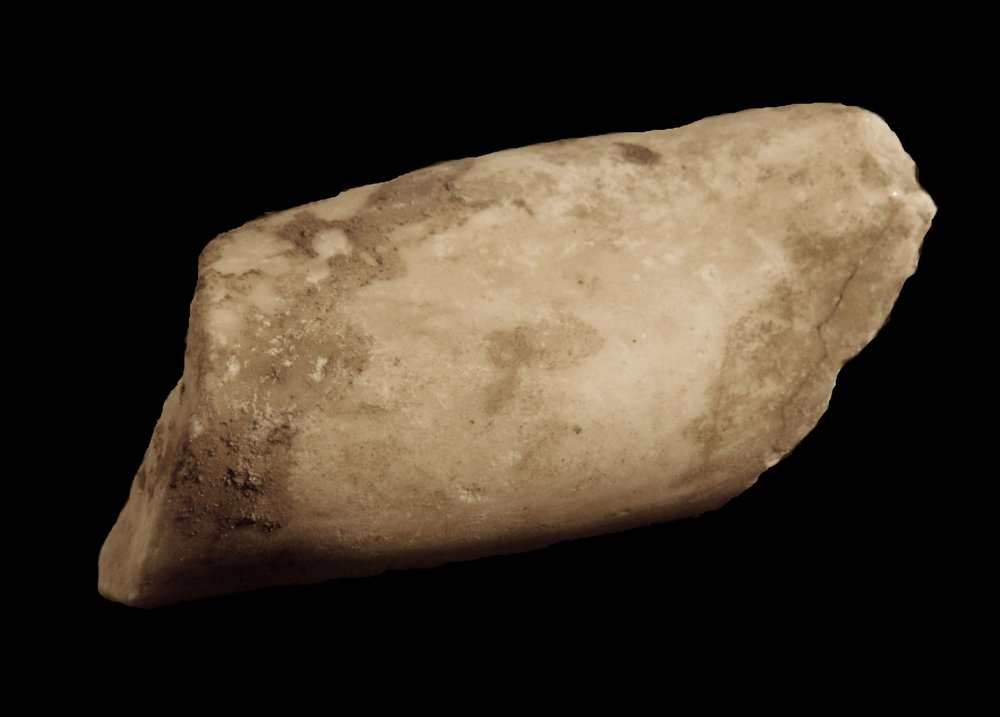 Inv.528674-Neg.000055.JPG