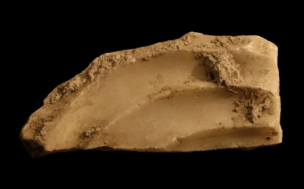 Inv.528621-Neg.000008.JPG