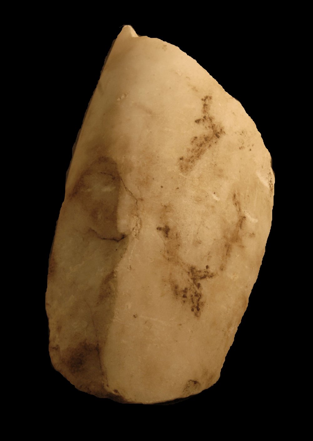 Inv.528646-Neg.000029.JPG