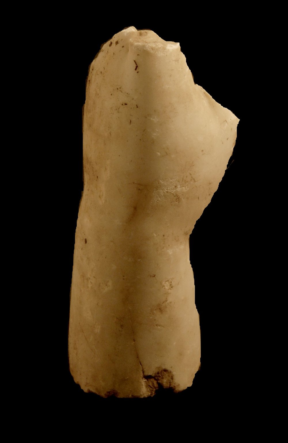 Inv.528655-Neg.000038.JPG