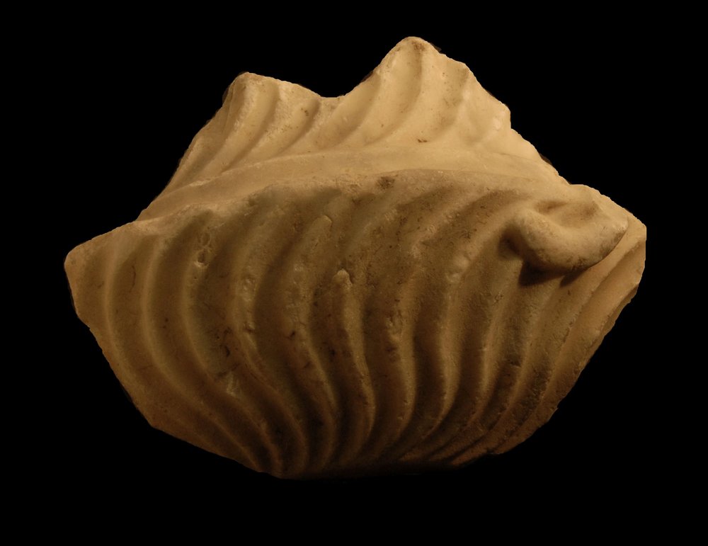 Inv.528629-Neg.000057.JPG