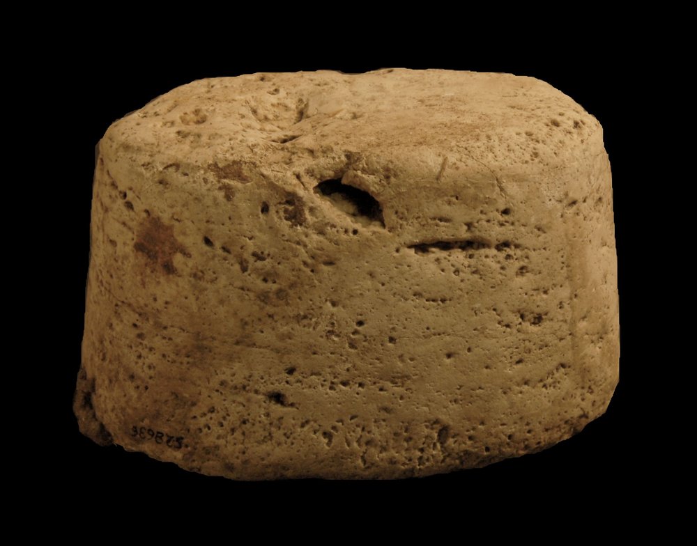 Inv.528636-Neg.000021.JPG
