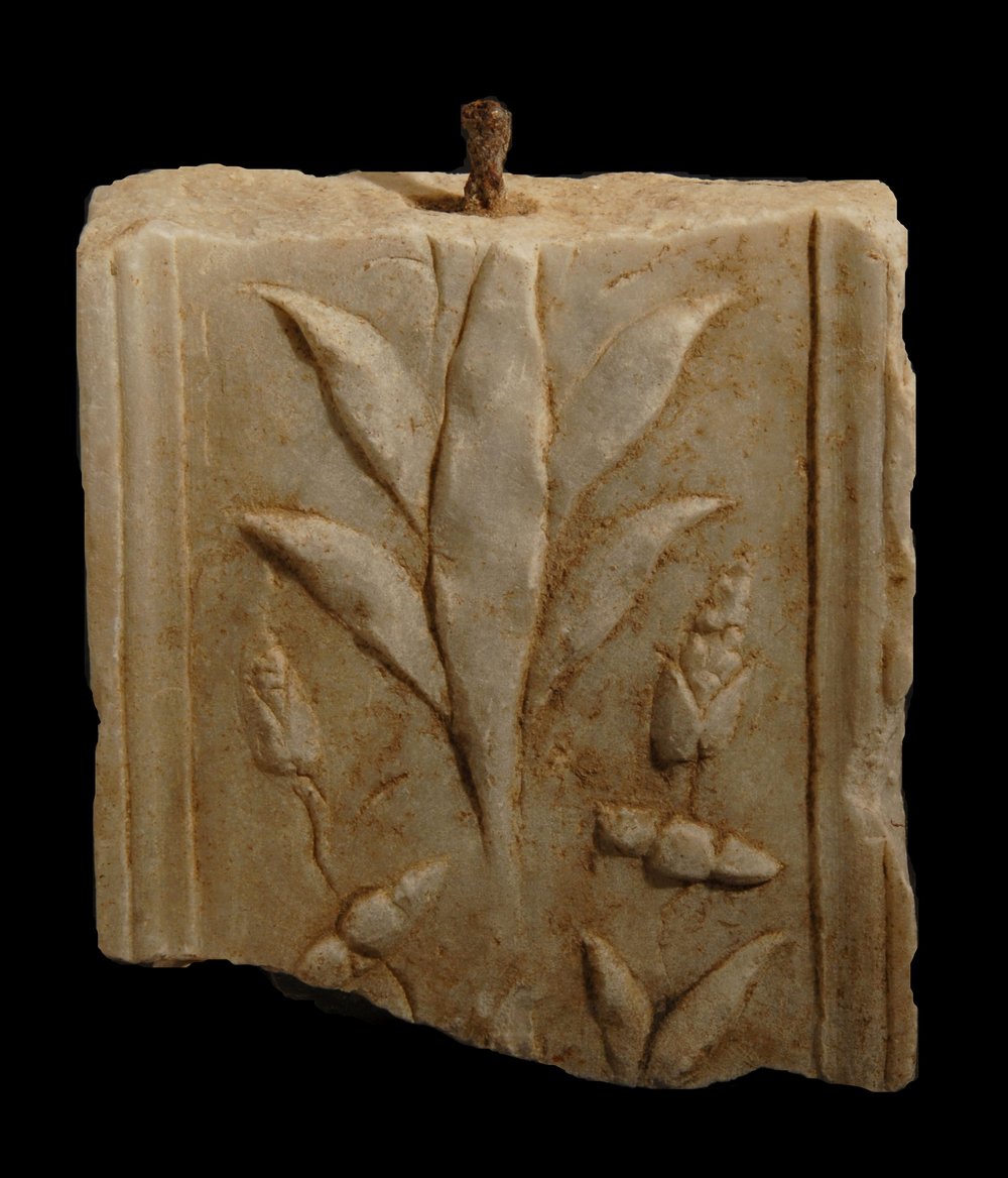 Inv.528720-neg.000082.JPG