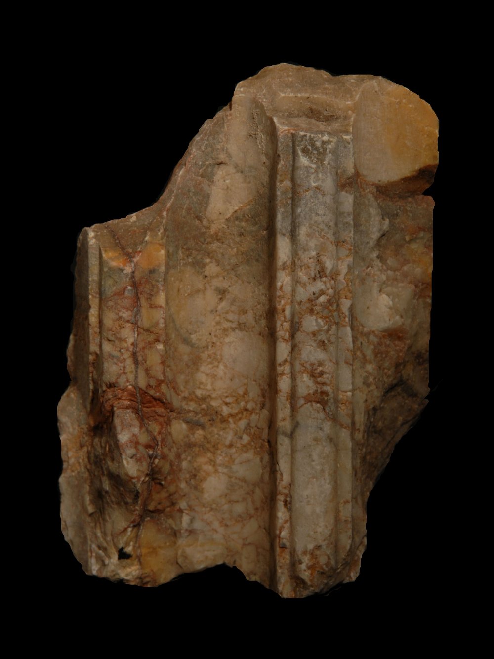 Inv.528703-Neg.000093.JPG