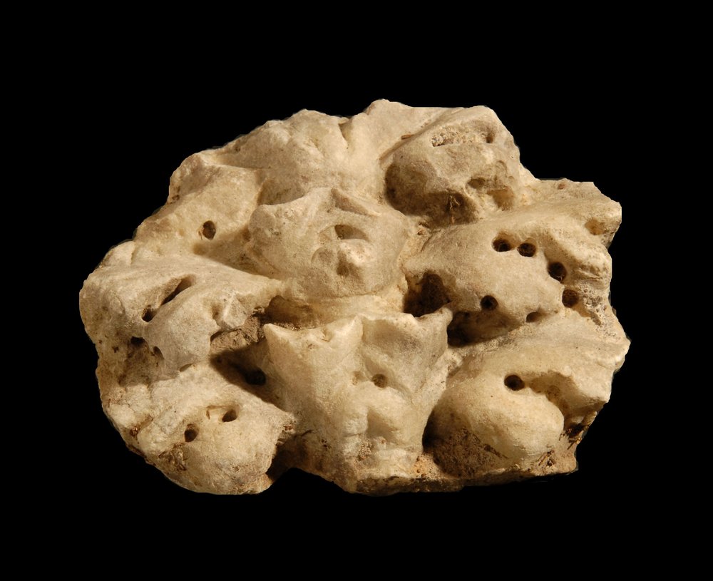 Inv.528743-Neg.000066.JPG